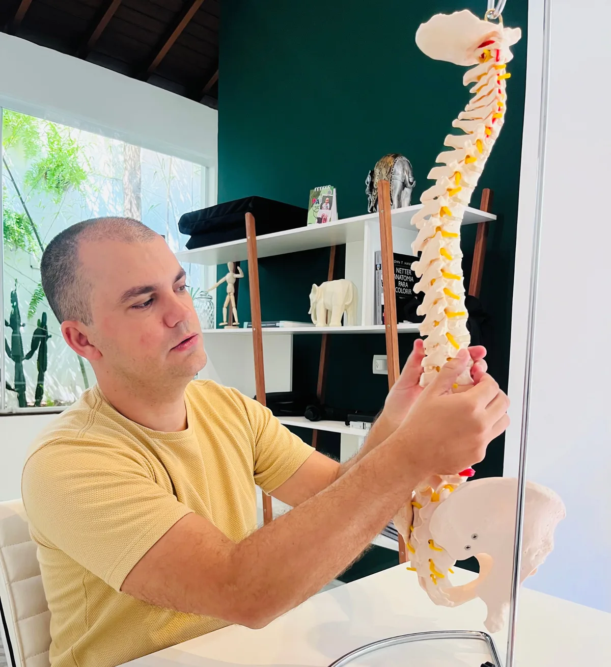Explicação com modelo anatômico durante atendimento de quiropraxia